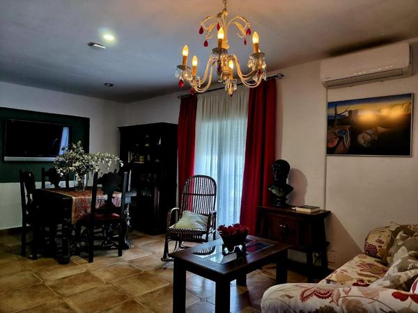 Salón comedor con lámpara de araña y sofá