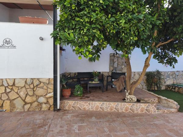 Jardín con naranjo y muro de piedra junto a la piscina