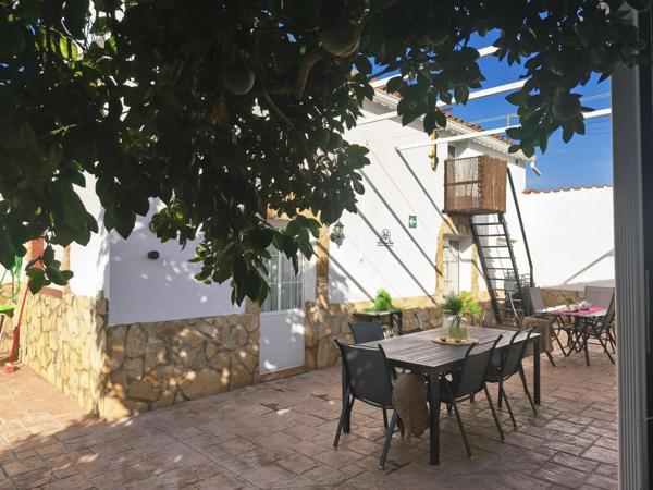 Patio con mesa de exterior bajo el naranjo