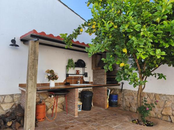 Zona de barbacoa de obra con limonero